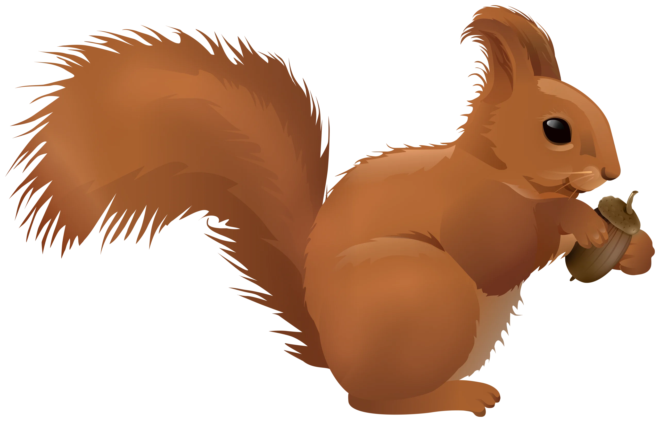 Adorable Russet-Colored Woodland Squirrel Clipart with Bushy Tail and Acorn
