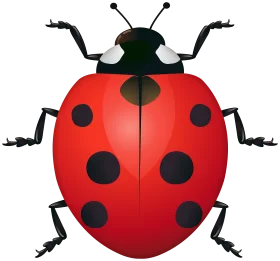 Charming Ladybug Clipart: Symmetrical Red and Black Insect Illustration