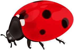 Charming Red and Black Ladybug Clipart: A Delightful Insect Illustration