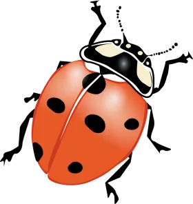 Charming Red Ladybug Clipart Illustration with Distinctive Black Spots and Playful Design