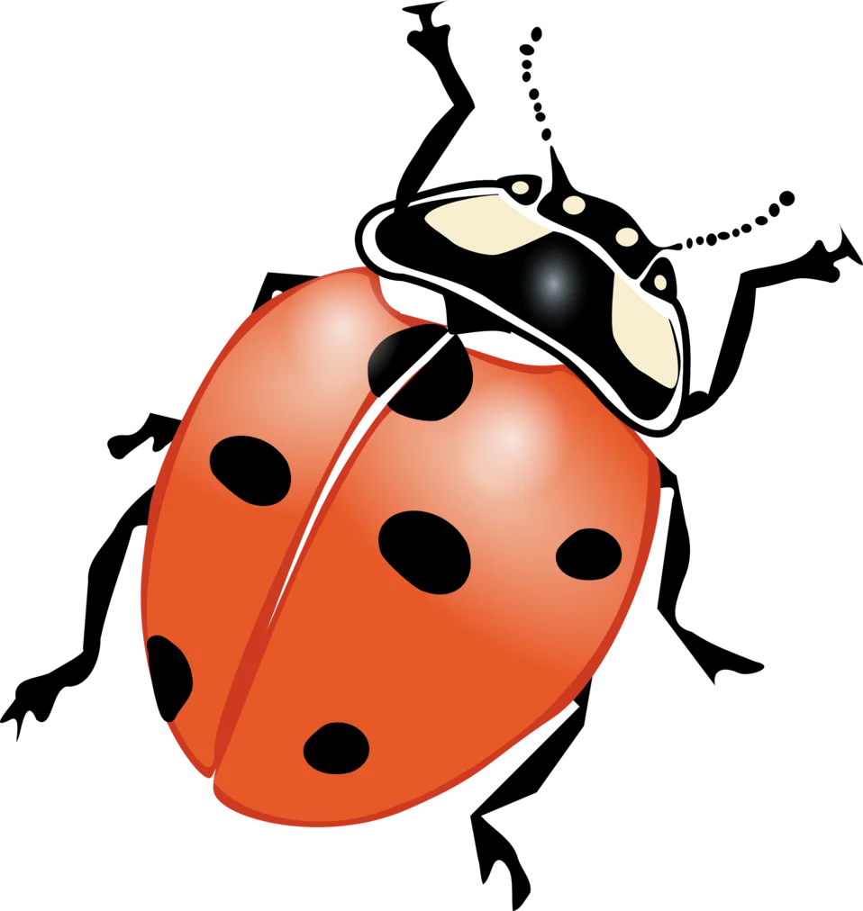 Charming Red Ladybug Clipart Illustration with Distinctive Black Spots and Playful Design