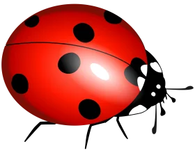 Charming Red Ladybug Clipart Illustration with Glossy Black Polka Dot Design
