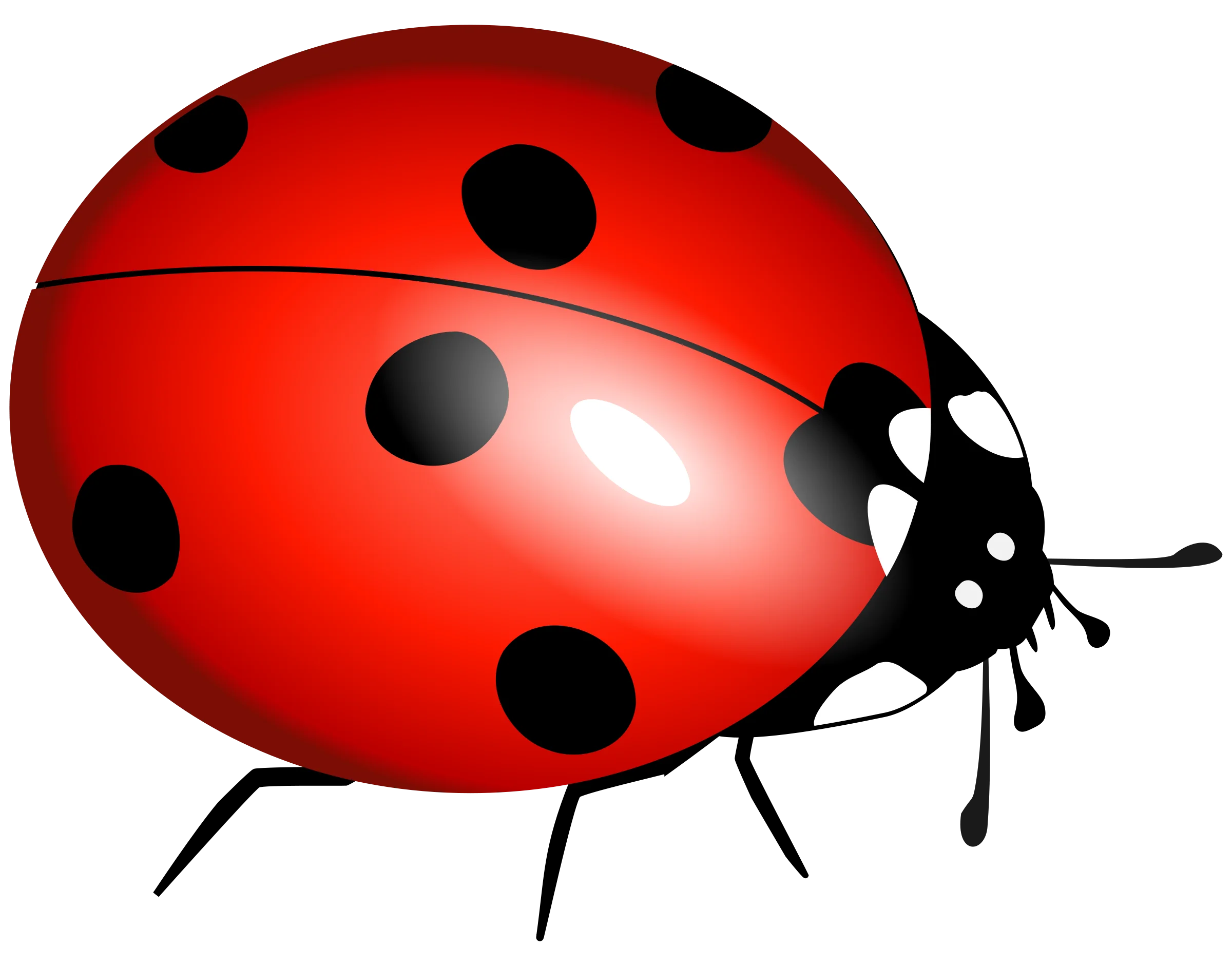 Charming Red Ladybug Clipart Illustration with Glossy Black Polka Dot Design