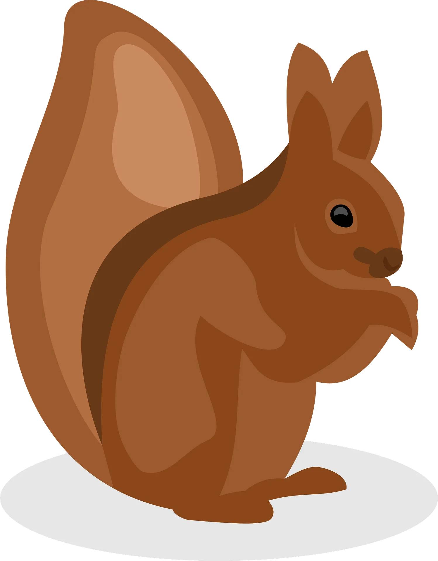 Charming Woodland Squirrel Clipart with Warm Earthy Brown Tones