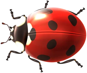 Realistic Detailed Ladybug Clipart with Glossy Red Shell and Black Spots