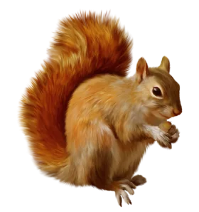 Russet-Hued Woodland Squirrel Clipart with Realistic Fur Texture and Elegant Pose