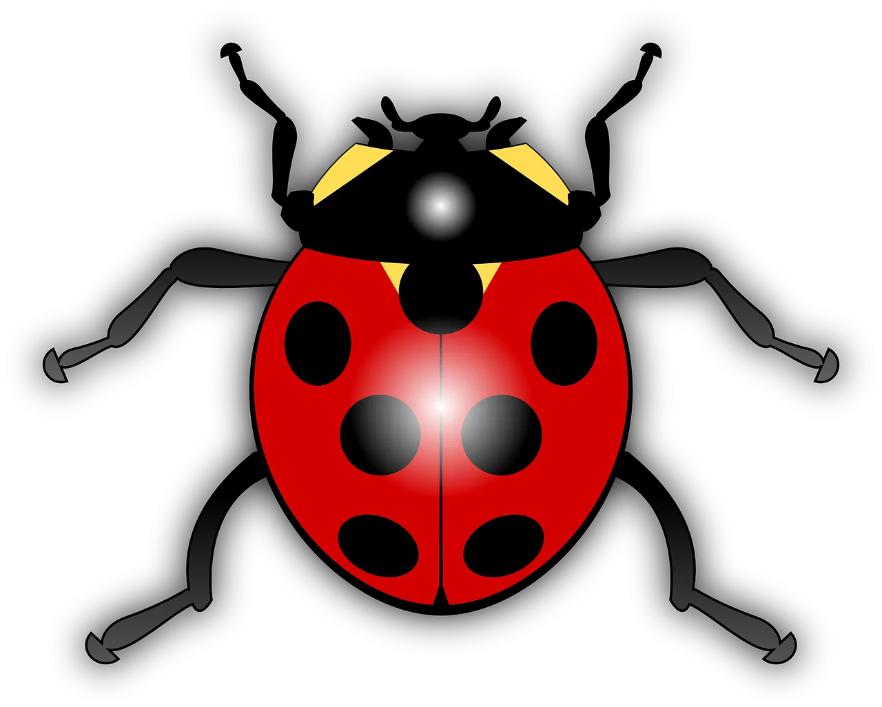Stylized Ladybug Clipart with Geometric Symmetry and Bold Color Contrast