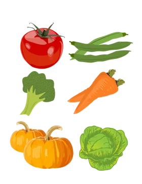 Fresh and Colorful Garden Harvest Vegetables Clipart Collection