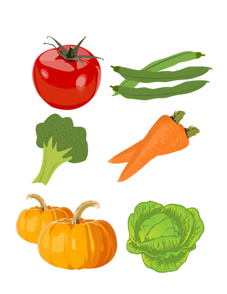 Fresh and Colorful Garden Harvest Vegetables Clipart Collection