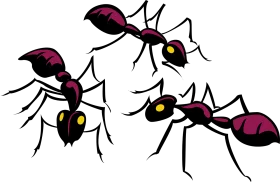 Black and Magenta Ant Colony Cartoon Clipart Illustration Design