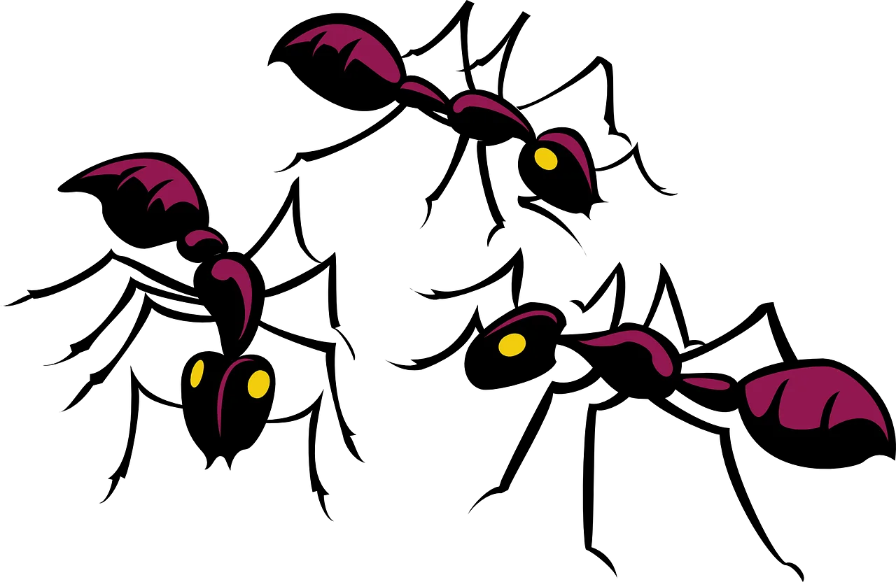 Black and Magenta Ant Colony Cartoon Clipart Illustration Design