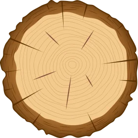 Detailed Cross-Section of a Tree Trunk Clipart Showcasing Annual Growth Rings