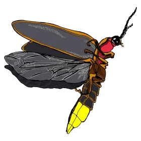 Detailed Entomological Clipart Illustration of a Striking Firefly in Flight