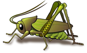 Detailed Green Grasshopper Clipart Illustration with Realistic Anatomical Features