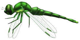 Emerald Green Dragonfly Clipart with Delicate Translucent Wings and Sleek Body