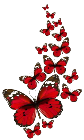 Enchanting Red Butterfly Swarm Clipart: A Dance of Crimson Wings