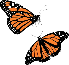 Majestic Monarch Butterfly Migration Clipart Illustration Artwork