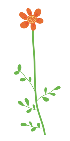 Charming Orange Wildflower Botanical Clipart with Delicate Green Stem