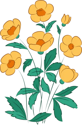 Cheerful Golden Wildflower Blossoms Botanical Clipart Illustration