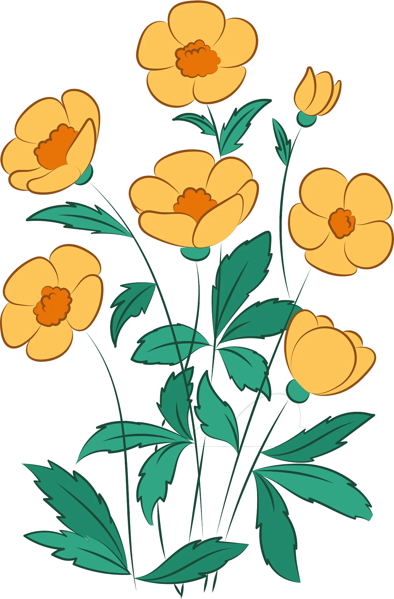 Cheerful Golden Wildflower Blossoms Botanical Clipart Illustration