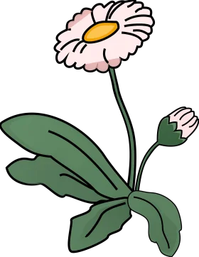 Delicate Pink Daisy Wildflower Botanical Clipart with Soft Green Leaves