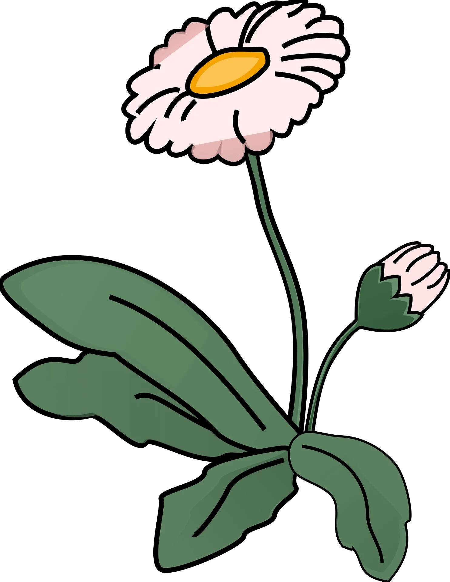 Delicate Pink Daisy Wildflower Botanical Clipart with Soft Green Leaves