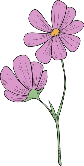Delicate Pink Wildflower Botanical Clipart with Soft Pastel Petals