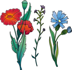 Enchanting Wildflower Botanical Clipart Collection - Nature's Artistic Illustration