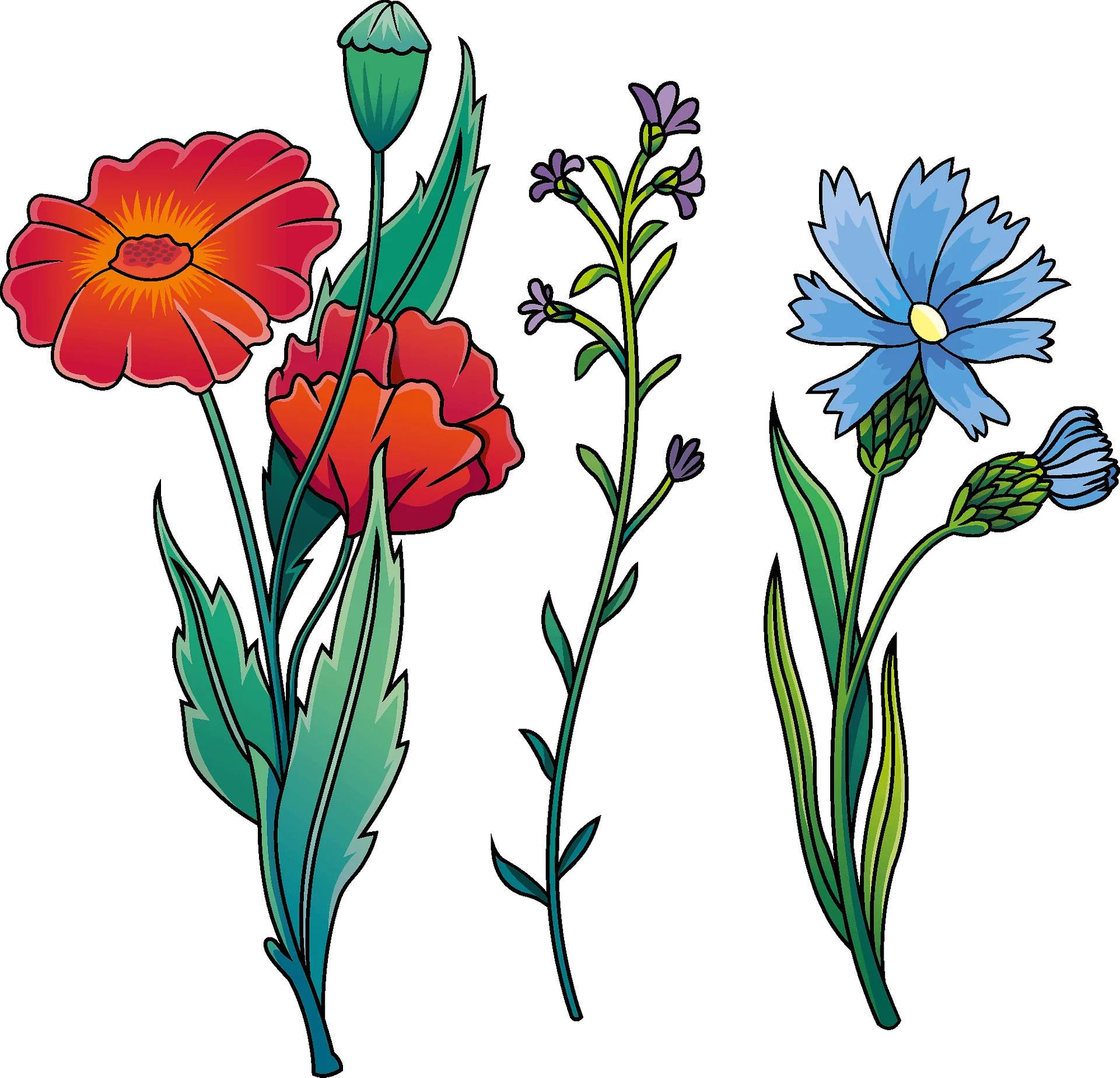 Enchanting Wildflower Botanical Clipart Collection - Nature's Artistic Illustration