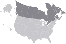 Minimalist Grayscale United States and Canada Territorial Clipart Map Illustration