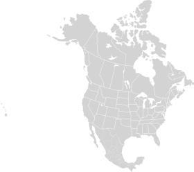 Minimalist North America Continent Grayscale Clipart Map Illustration