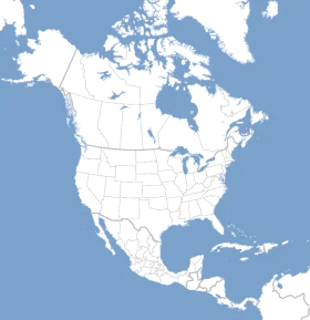 Minimalist North American Continent Political Map Clipart - Clean Geographic Illustration