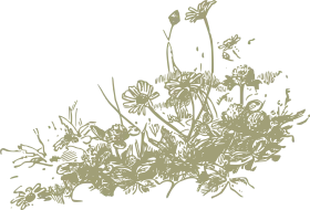 Rustic Wildflower Garden Sketch Botanical Clipart Illustration