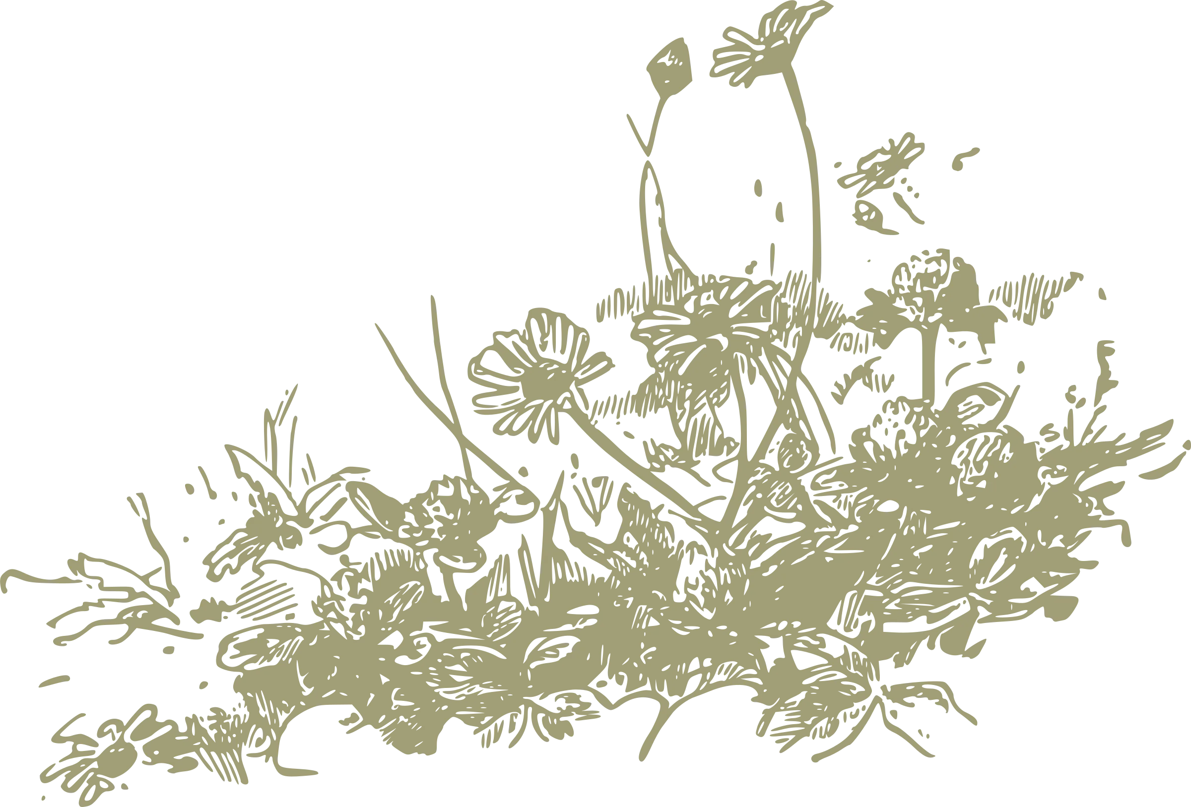Rustic Wildflower Garden Sketch Botanical Clipart Illustration