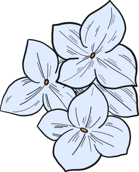 Delicate Blue and White Hydrangea Flower Outline Clipart Design