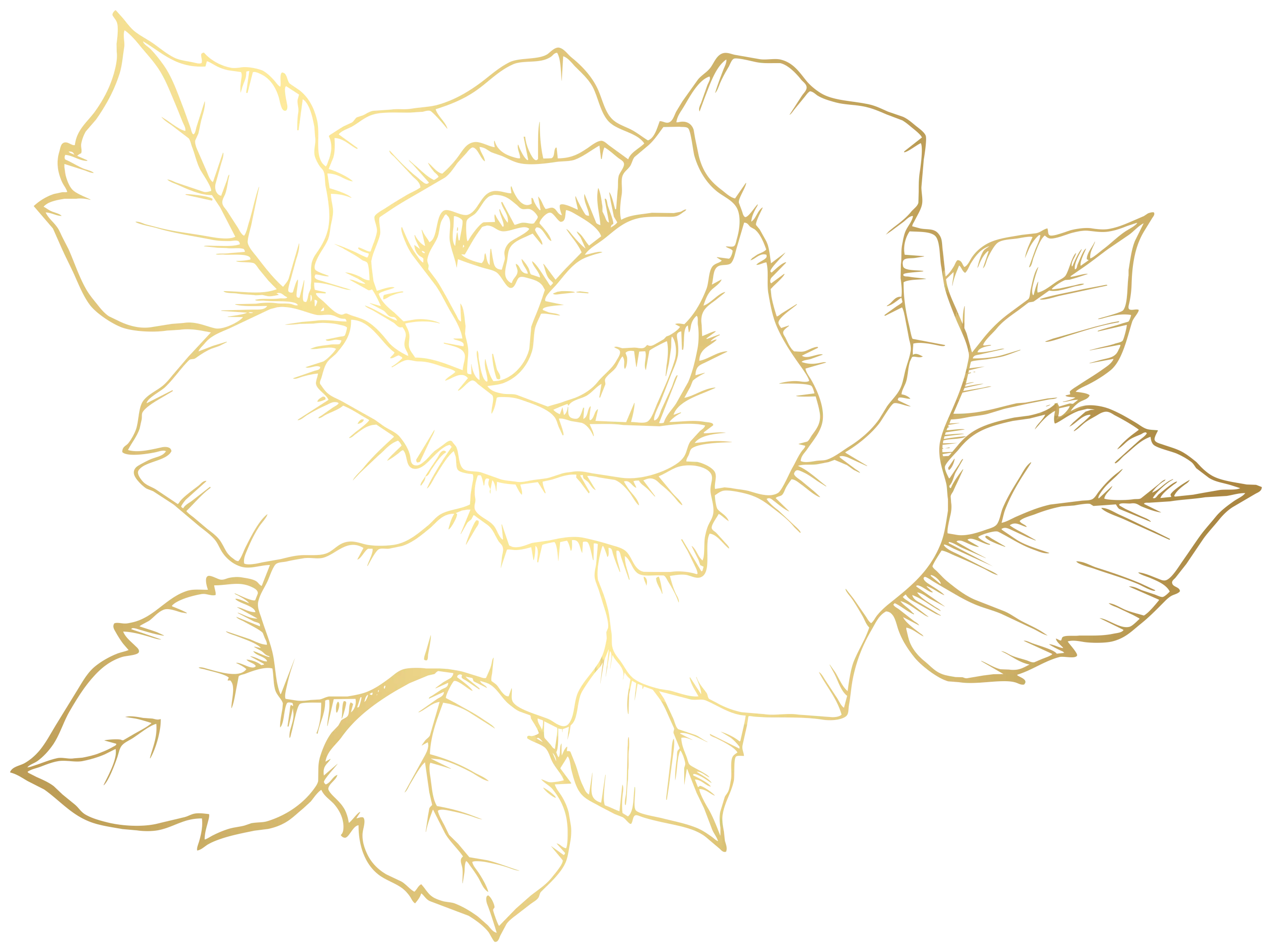 Delicate Golden Rose Line Art Clipart - Elegant Botanical Sketch Design