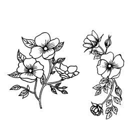 Elegantly Drawn Black and White Botanical Flower Clipart with Delicate Blossoms