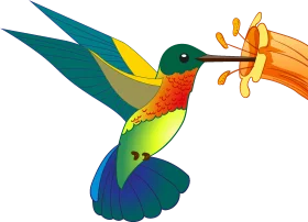 Colorful Hummingbird Clipart: Elegant Avian Design with Radiant Feather Palette