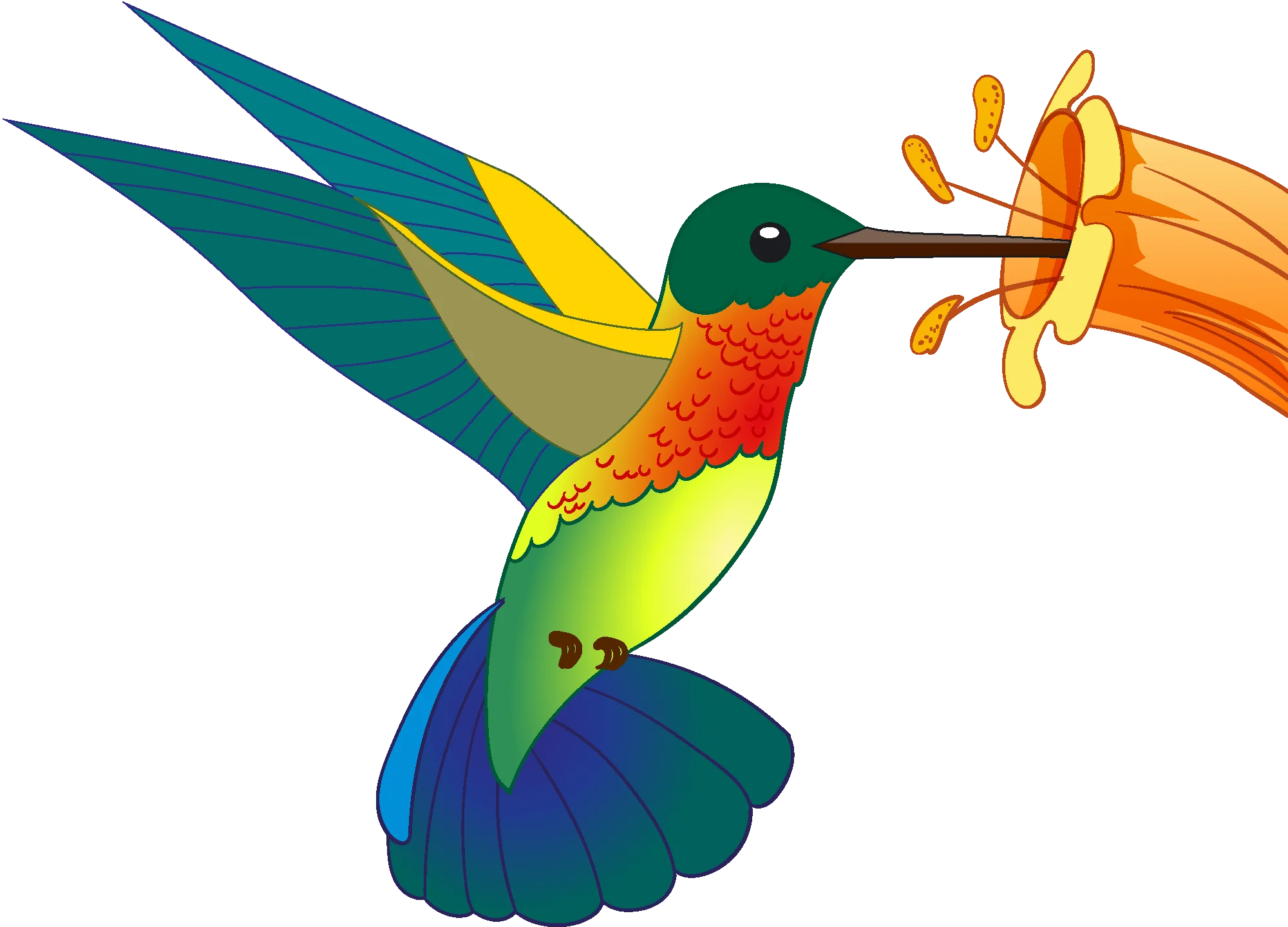 Colorful Hummingbird Clipart: Elegant Avian Design with Radiant Feather Palette