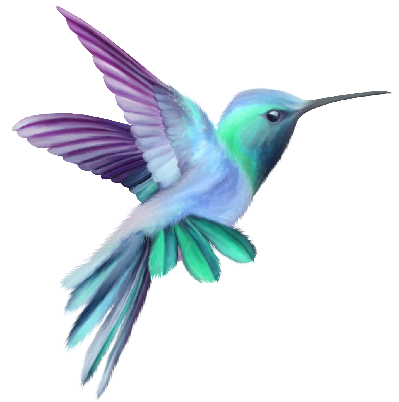 Delicate Blue and Purple Hummingbird Clipart Illustration with Iridescent Feathers