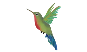 Elegant Hummingbird Clipart: Colorful Avian Design with Dynamic Wing Movement