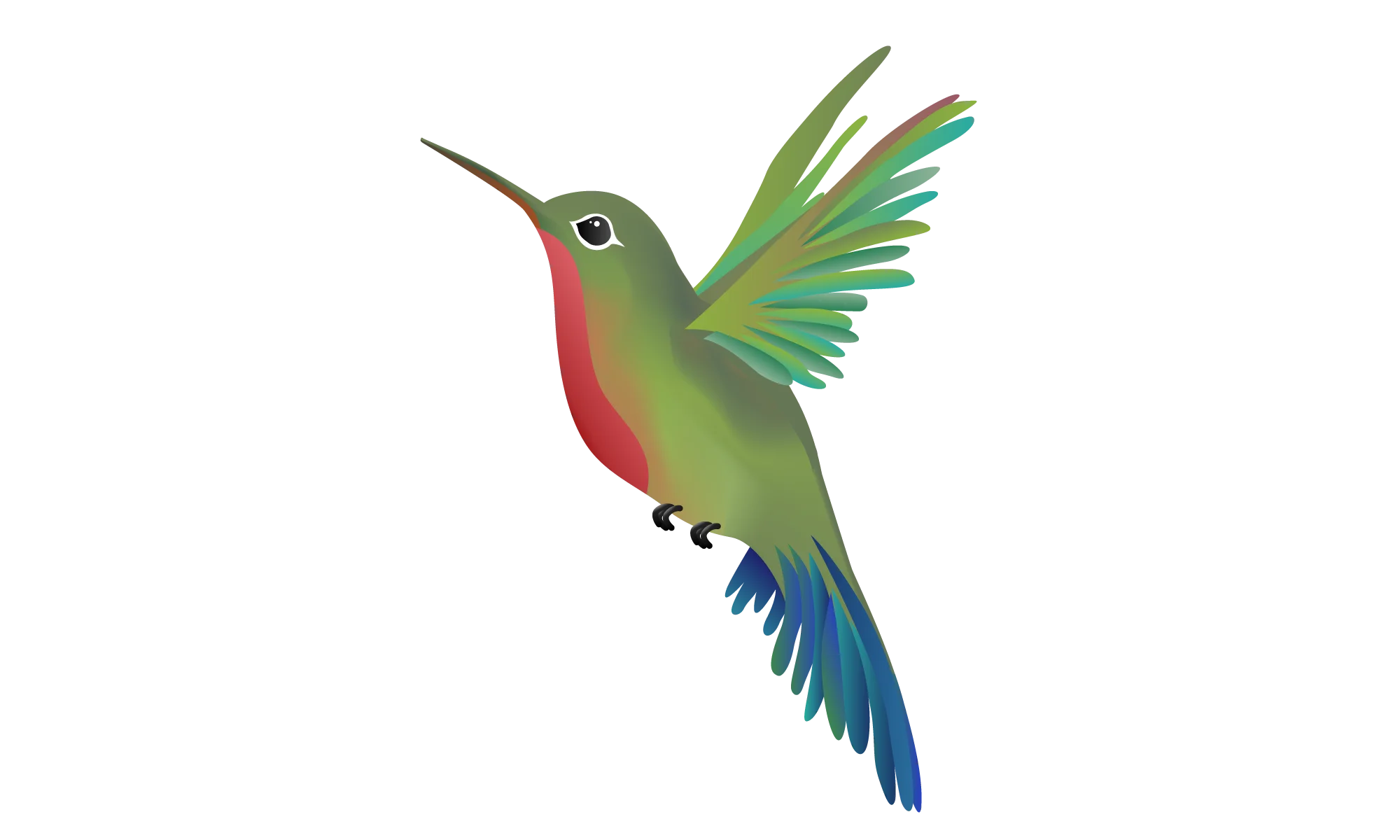 Elegant Hummingbird Clipart: Colorful Avian Design with Dynamic Wing Movement