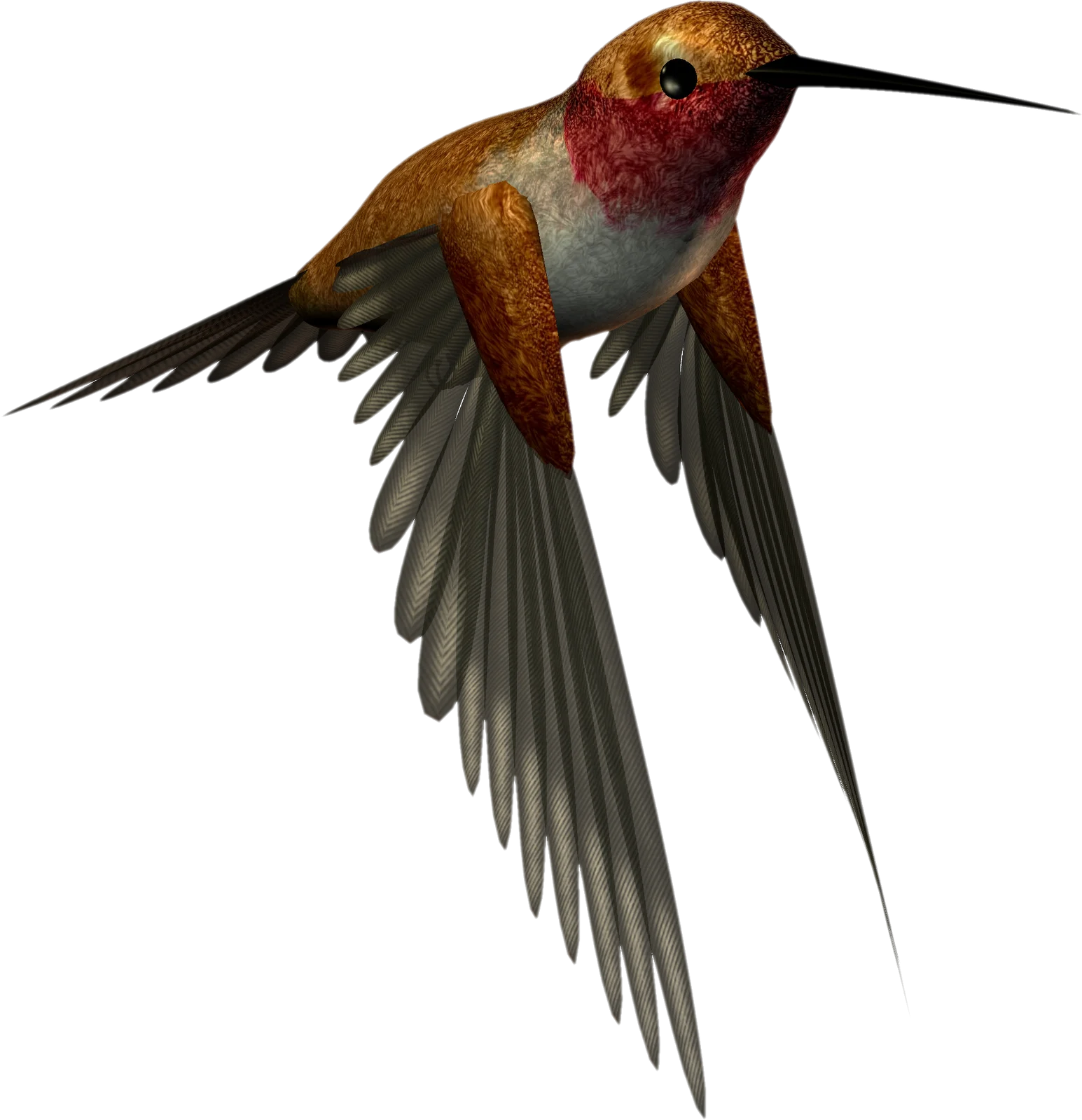 Elegant Hummingbird Clipart Illustration - Detailed Flight Pose Rendering