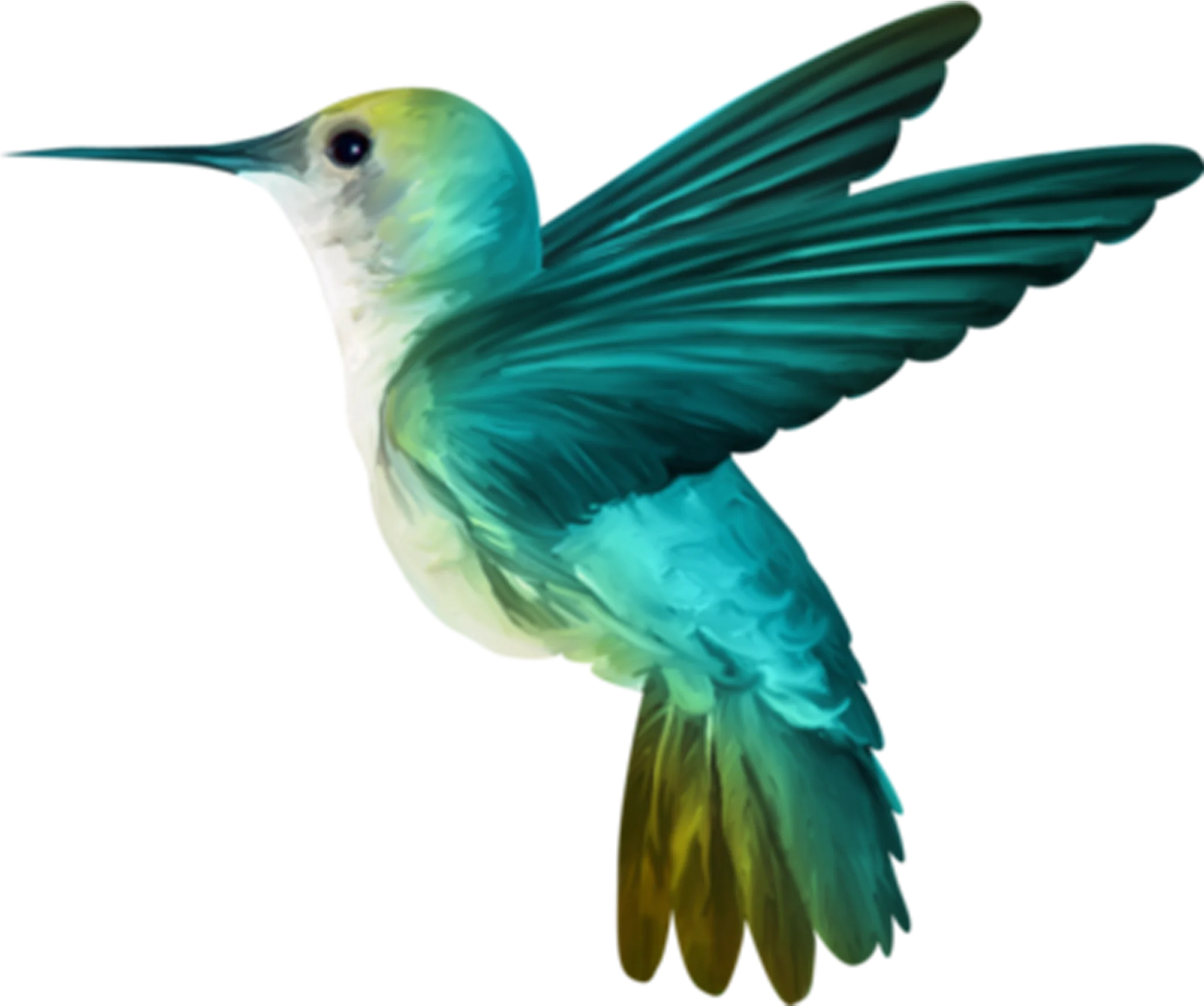 Elegant Teal and Green Hummingbird Clipart with Graceful Wing Spread