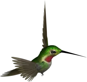 Emerald-Throated Hummingbird Clipart with Dynamic Wing Spread and Iridescent Plumage