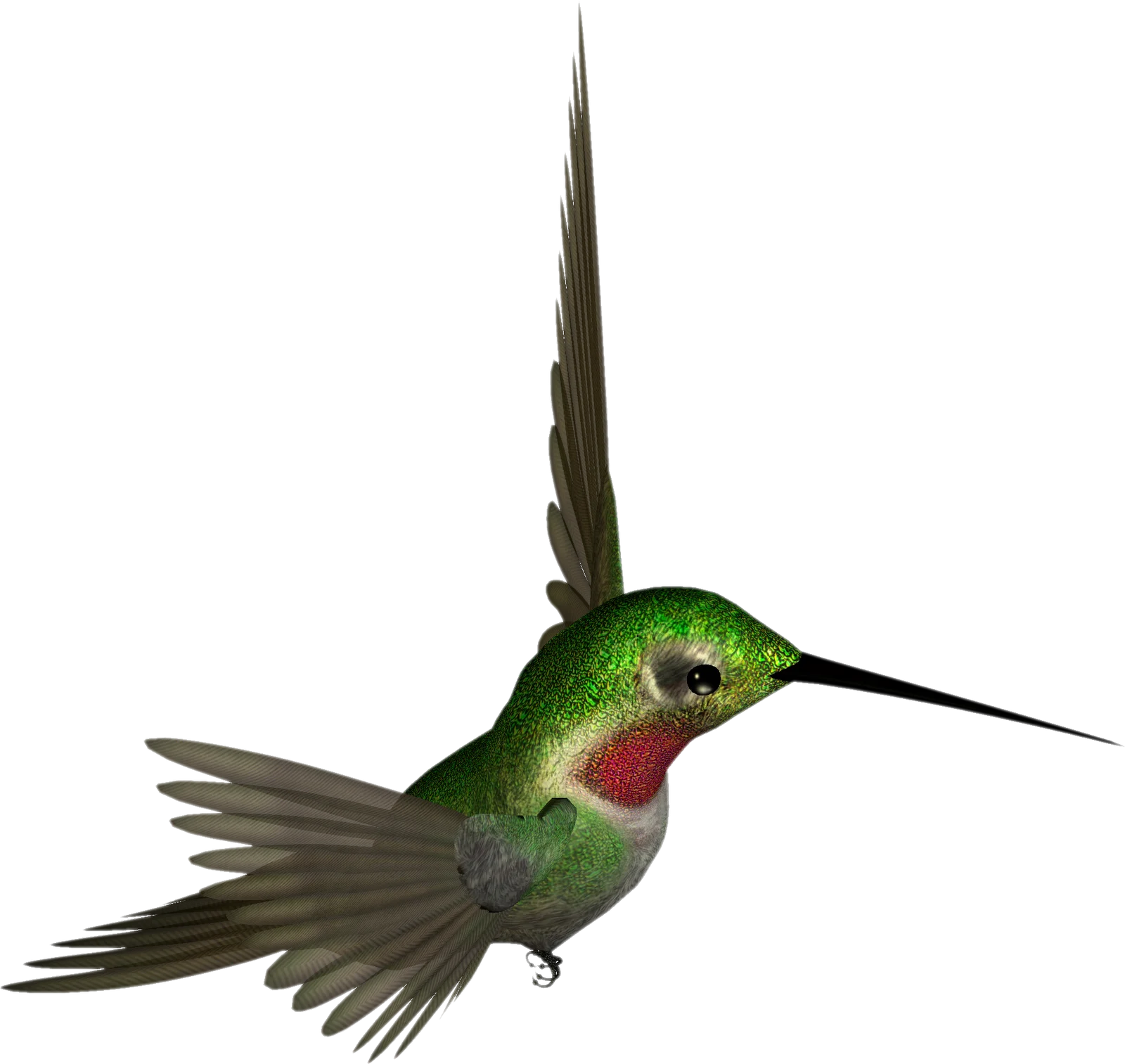 Emerald-Throated Hummingbird Clipart with Dynamic Wing Spread and Iridescent Plumage