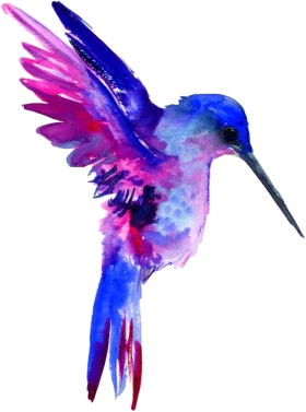 Ethereal Watercolor Hummingbird Clipart: A Kaleidoscope of Celestial Flight