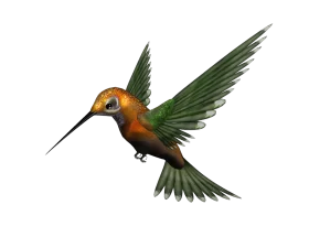Realistic Orange and Green Hummingbird Clipart - Elegant Flying Pose