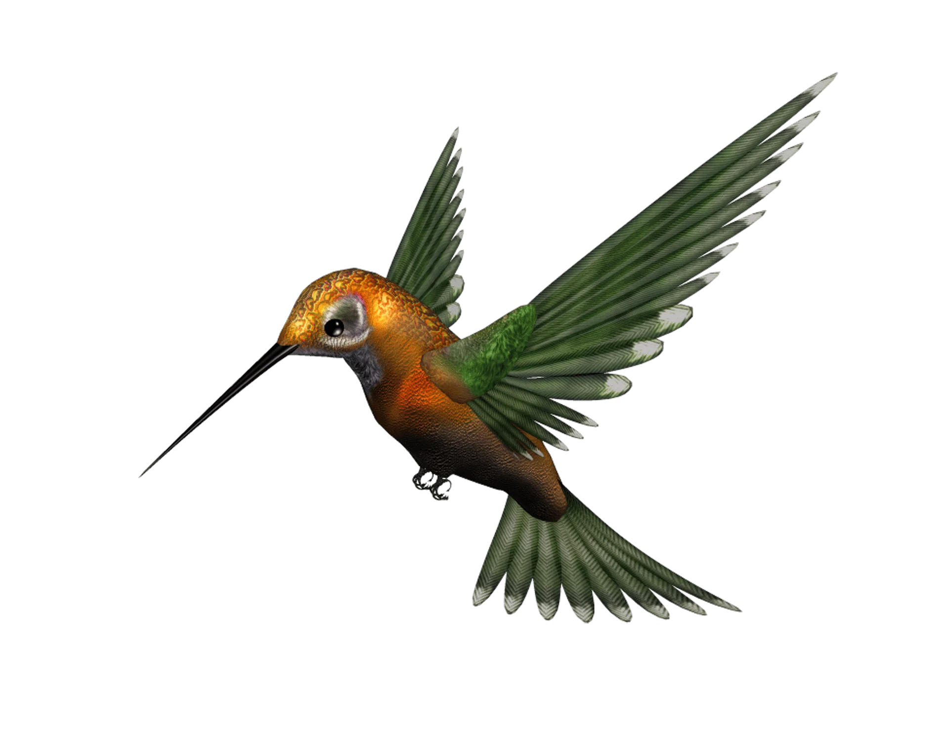 Realistic Orange and Green Hummingbird Clipart - Elegant Flying Pose