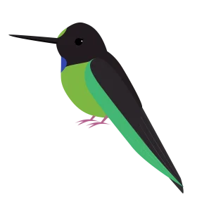 Stylized Green and Black Minimalist Hummingbird Clipart Design